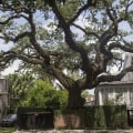 Tree Removal And House Rehab In Bethany, Oklahoma: The Perfect Partnership For A Stunning Transformation