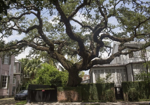 Tree Removal And House Rehab In Bethany, Oklahoma: The Perfect Partnership For A Stunning Transformation
